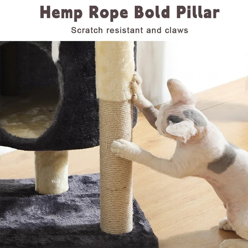 S08ad5275b6994c95a41ff79d745dd77c4